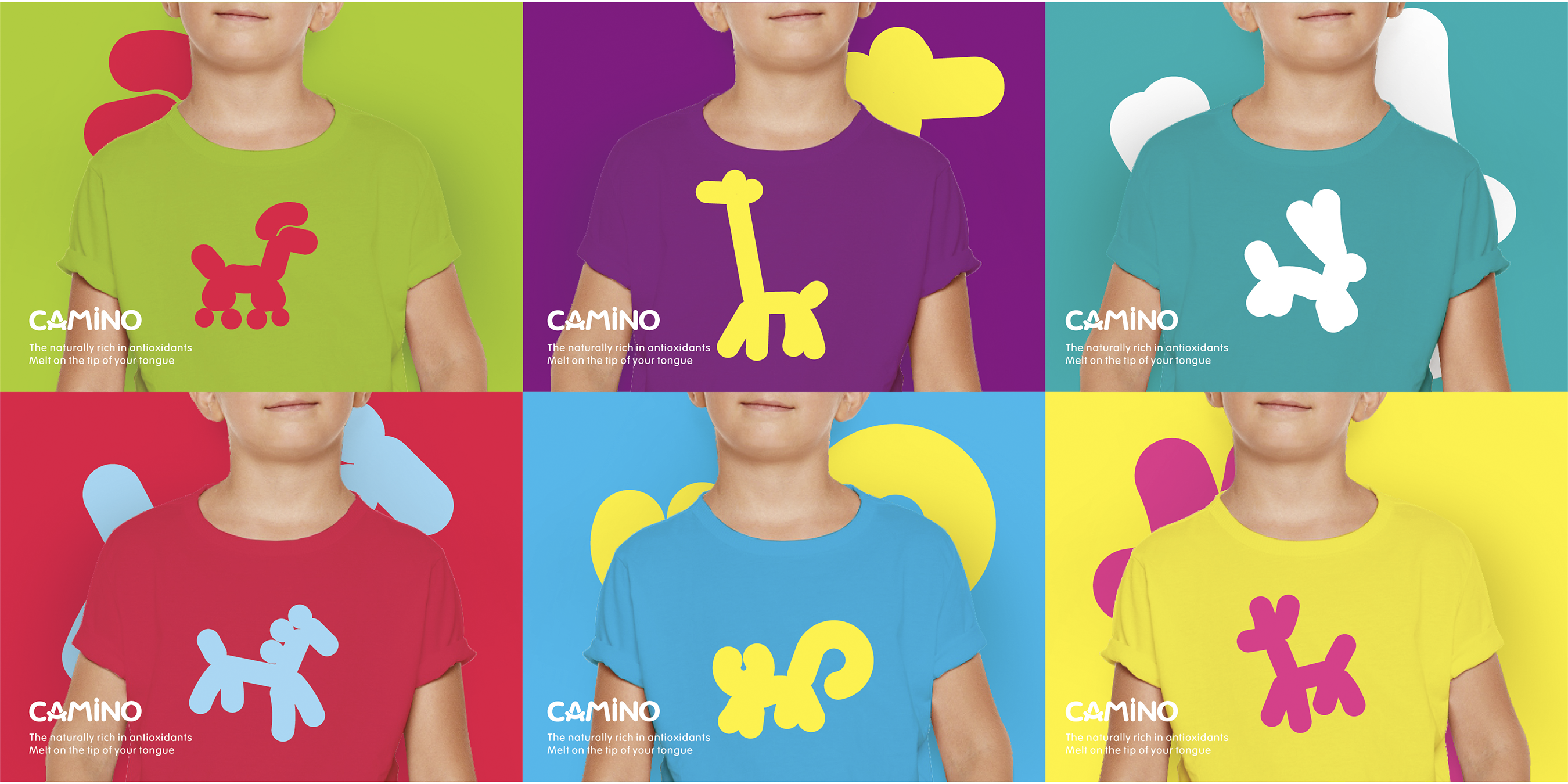 CAMINO Fruit Chocolates